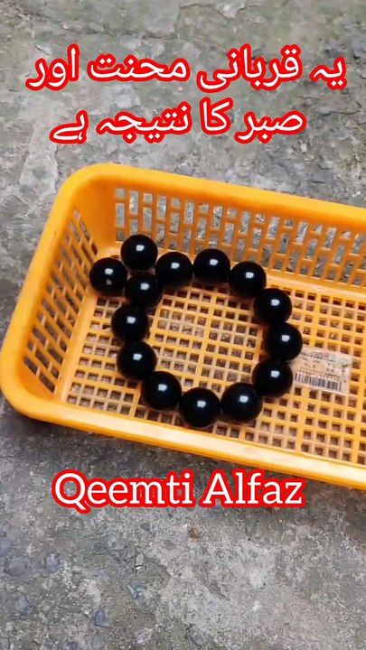Kamyabi Koi Rato Raat Milne Wali Cheez Nahi Hai