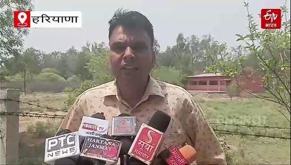 हरियाणा में भारी बारिश, कई जगह पर आंधी से टूटे पेड़, तापमान में गिरावट दर्ज, जानें कब तक जारी रहेगी वर्षा