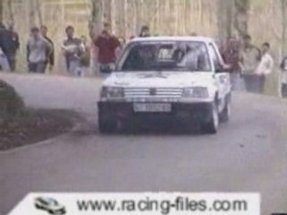 Peugeot 309 Gti - Racing-Files - Rallisprint Pals'2000 - Cra