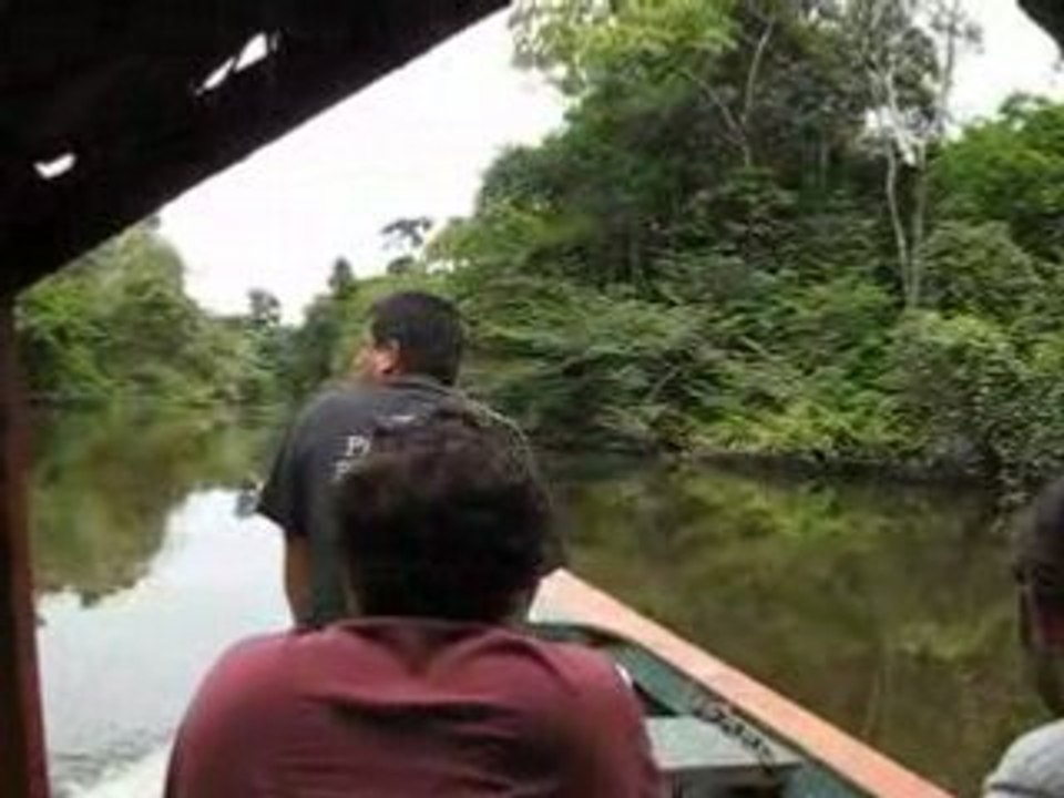En route pour la jungle