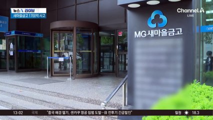 새마을금고 1700억 대출사고…깡통법인으로 부당대출