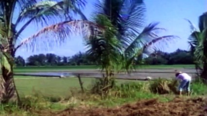 Bagamundo (1997) | Exciting Pinoy Action Film with Chuck Perez & Cristina Gonzales 🎬