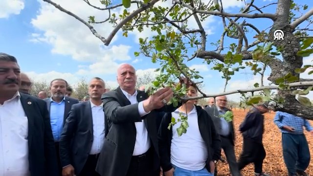 TZOB Genel Başkanı, zirai dondan etkilenen meyve bahçelerini inceledi