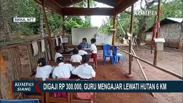 Cerita Guru Honorer di Sikka NTT: Tempuh Hutan 6 KM Demi Mengajar, Gaji Rp300 Ribu
