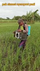 Komedi: Tawa dan Hiburan Seru 😂