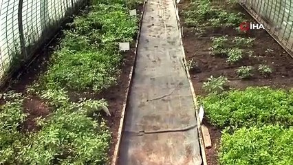 Nilüfer Belediyesinin de öncülerinden olduğu yerel tohum akımı büyüyor