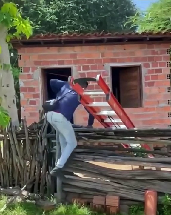 Funny shorts