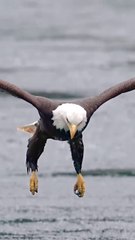 Pani Se Kaise Machhali pakdata Welcome my channel Tik Tok riaasat Ali