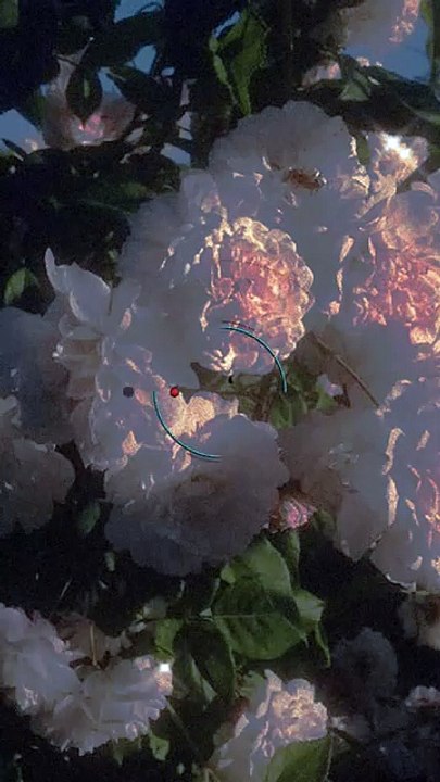 Waseem SmartTech 2.0  Intro - Tech Tutorials in Urdu - Learn & Earn Online