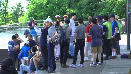 [날씨] 휴일 맑고 큰 일교차...곳곳 강풍, 산불 주의 / YTN