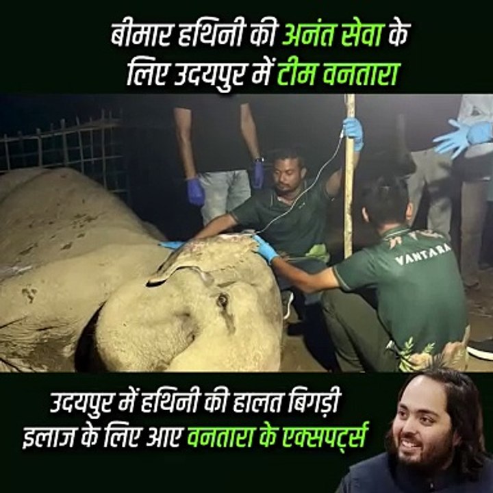 बीमार हथिनी की अनंत सेवा के लिए उदयपुर पहुंची अनंत अंबानी की वनतारा टीम