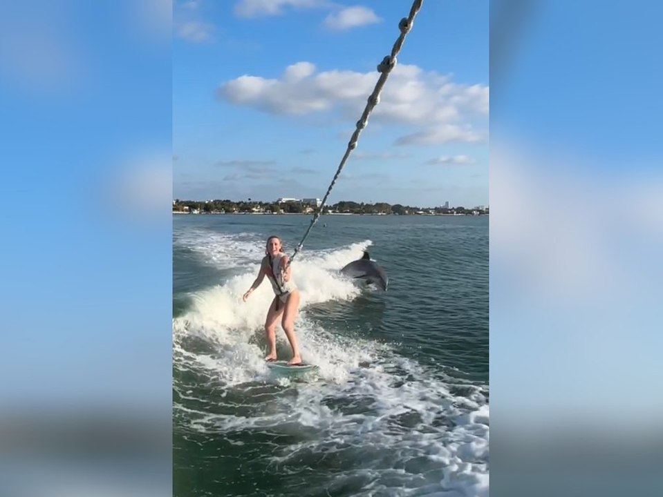 Skirennfahrerin bekommt beim wake-surfen tierische begleitung