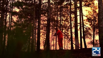 High Alert in Israel Amid Fierce Wildfires and Mass Evacuations _ 24 News HD