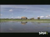 La mise au marais dans le Cotentin