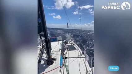 Transat Paprec 2025 : Alizés au rendez-vous  soleil, calme et un peu de répit pour les skippers !