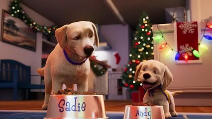 Andy_ A Dog s Tale _ Full Film _ Canine Companions #animation #puppy #servicedog