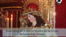 Besamanos de la Divina Pastora de las Almas  de Santa Ana
