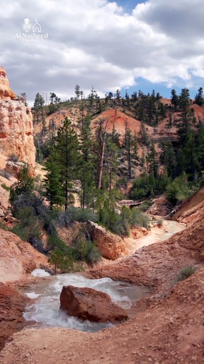 Prophet Yaqoob (A.S.) Nasheed