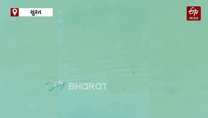 મહાવીર સર્કલ પાસે ખાડીમાં કૂદેલી મહિલાનું પોલીસ દ્વારા રેસ્ક્યુ, મહિલાએ કહ્યુ - 'મારે જીવવું નથી'