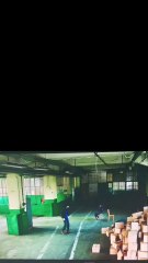 Russian Grizzly x Pierwsza miłość