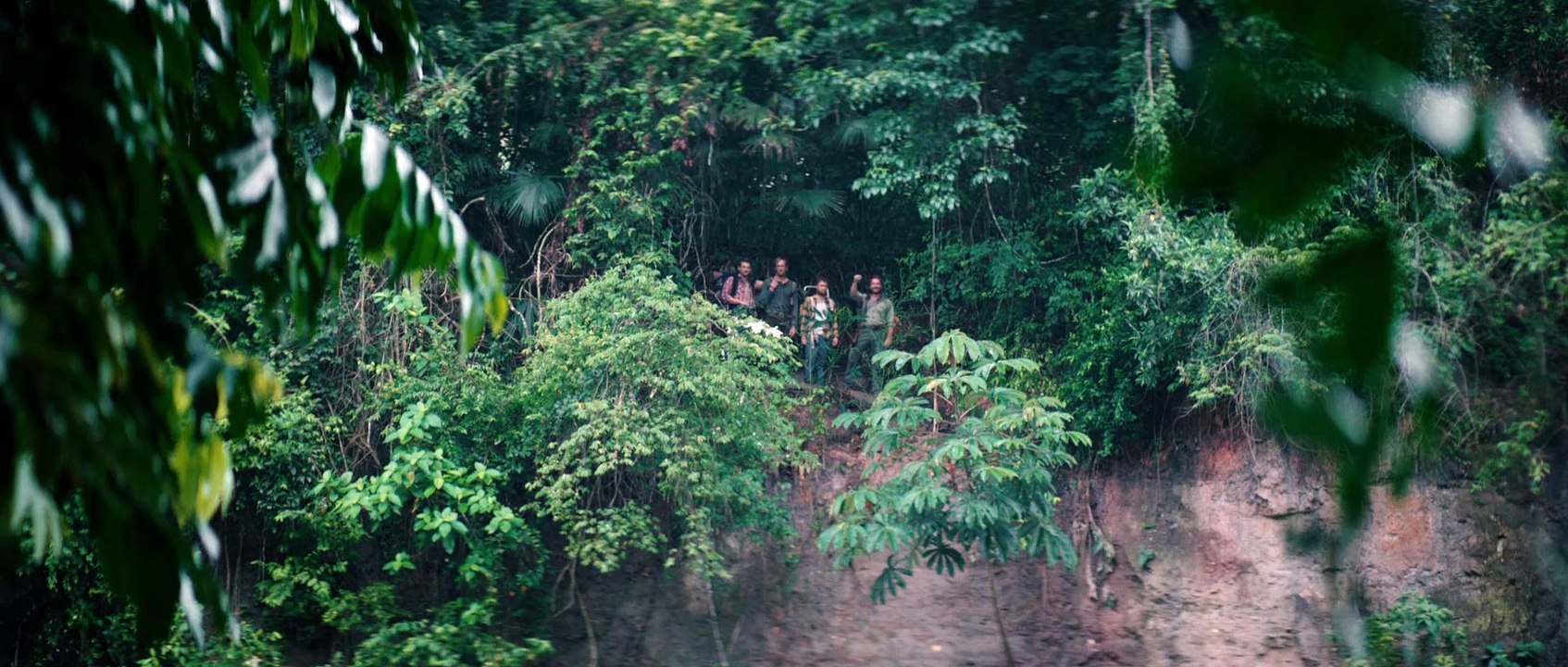 Jungle