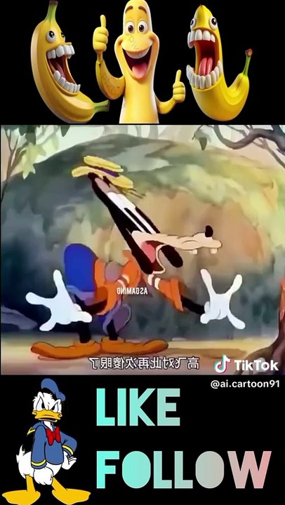 funny videos 10