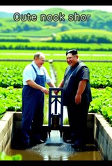 amazing funny video 🤣 #funny #putin #Donald Trump#Kim jong-un#cotenook