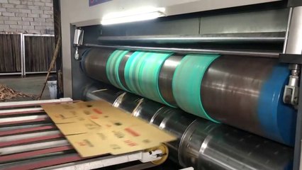 Koli Karton fabrikası