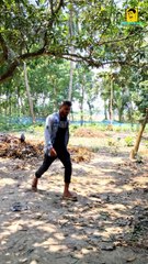 আম চোর  Am Chor  Bangla Comedy  Sobuj-Shamim-Alam