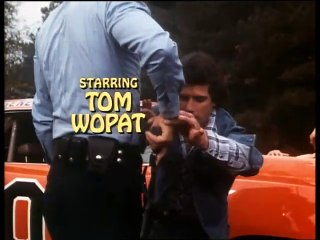 the dukes of hazard 1979 / double sting