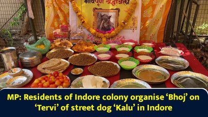 MP: Residents of Indore colony organise ‘Bhoj’ on ‘Tervi’ of street dog ‘Kalu’ in Indore