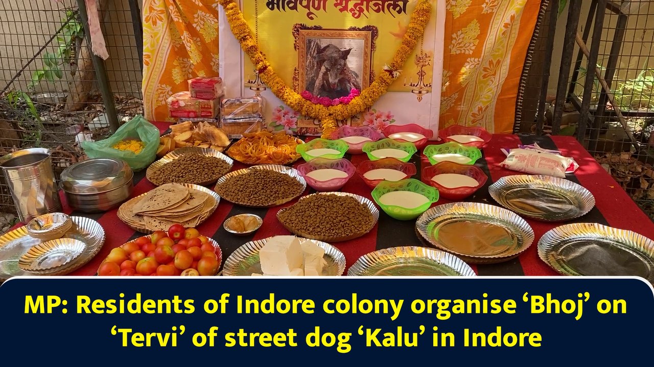 MP: Residents of Indore colony organise ‘Bhoj’ on ‘Tervi’ of street dog ‘Kalu’ in Indore