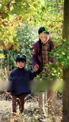 Destiny Unfolds! 🌟 Girl's Magical Luck Leads to a 100-Year-Old Ginseng Discovery!