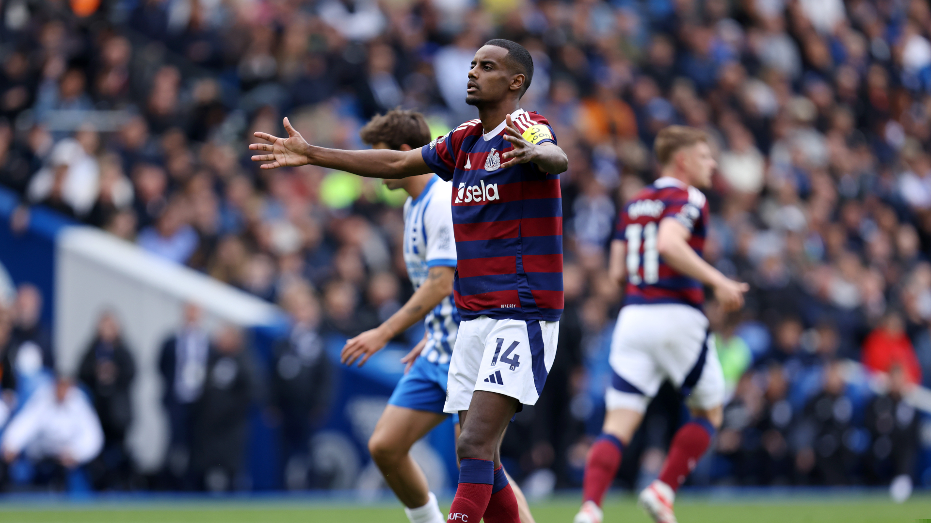 Brighton 1-1 Newcastle | Highlights