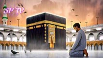 Title: A Sinner’s Cry in Front of the Kaaba | Emotional Repentance Dua