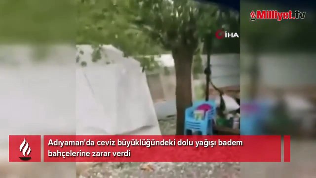 Kentte devasa büyüklükte dolu: Tavşan ve kuşlar telef oldu, ekili araziler zarar gördü