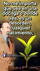 El misterio del Nuevo Nacimiento