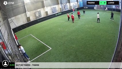 But de Tigers - TIGERS