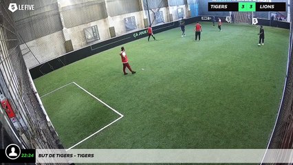 But de Tigers - TIGERS