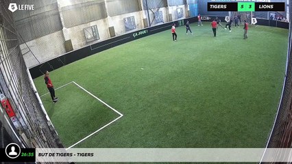 But de Tigers - TIGERS