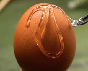 Shell Yeah! Cool Easter Egg Decorating Tricks!