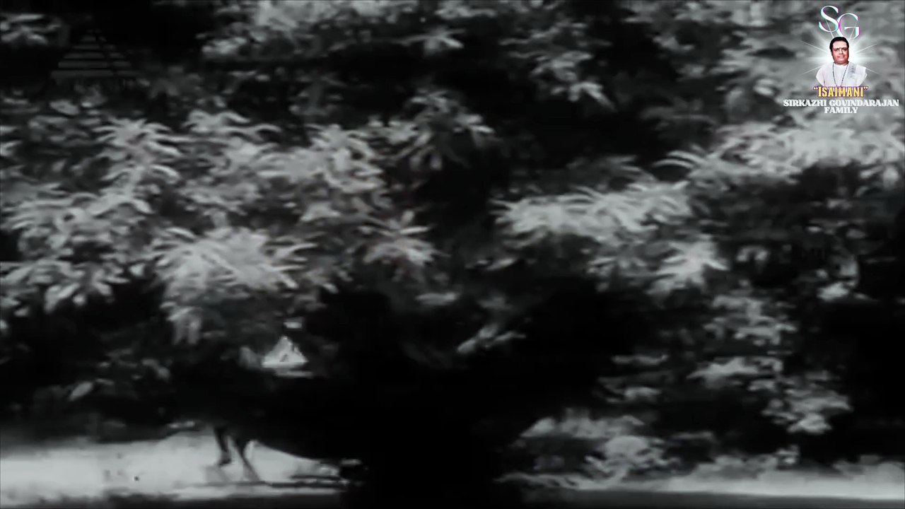 உழைப்பதிலா உழைப்பை பெறுவதிலா இன்பம் | "Padmashri" Dr. Sirkazhi S. Govindarajan| Nadodi Mannan (1958)