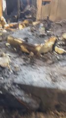 Family's 'forever' home gutted in blaze - £60k online fundraiser launched