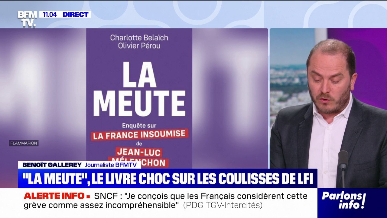 "La Meute": le livre choc sur les coulisses de la France insoumise sort ce mercredi
