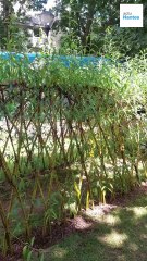 À Nantes, les crèches se débarrassent de leur pelouse synthétique pour des jardins