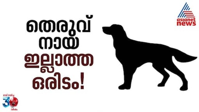തെരുവ് നായകൾ ഇല്ലാത്ത ഒരിടത്തെക്കുറിച്ച് ചിന്തിച്ചിട്ടുണ്ടോ? എന്നാൽ അങ്ങനെ ഒരു സ്ഥലം ഉണ്ട്!
