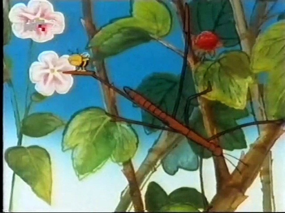 Dječji program (HRT 2 14.10.2008.) - video Dailymotion