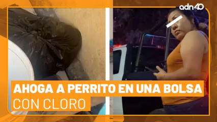 ¡Desgraciada! Mete a perrito en bolsa de plástico cubierto de cloro. El cachorro murió