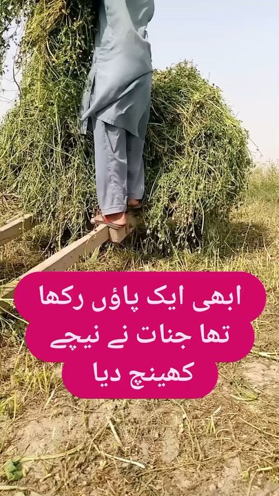 جنات نے ٹانگ کھینچ لی