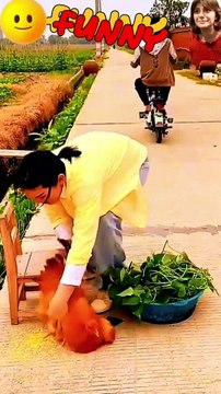 🤣😜🤫 मारे झपट्टा... #funny #comedy funny comedy shorts funny short comedy shorts shorts video joke lol laughter memes funnymoments dailymotion suddug funny video comedy videos shorts funny shorts viral shor #shorts #funnyshort #comedyshorts